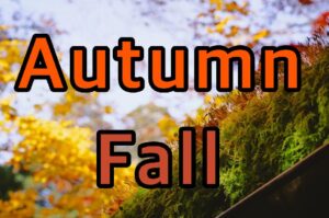 autumn,fall